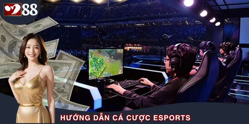 Hướng Dẫn Cá Cược Esports Cho Tân Binh Mới Gia Nhập