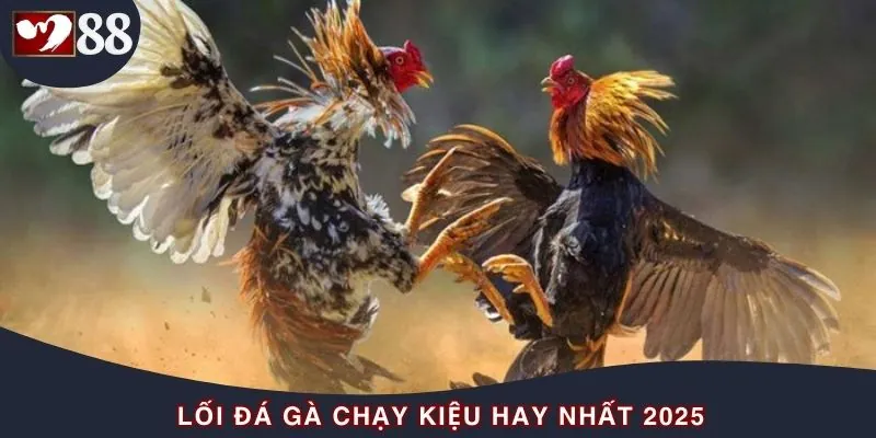 Chạy kiệu - Lối gà chọi hay nhất, đánh nhanh thắng gọn