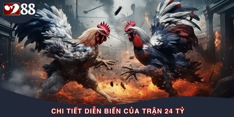 Lý do khiến trực tiếp trận gà 24 tỷ trở thành hiện tượng