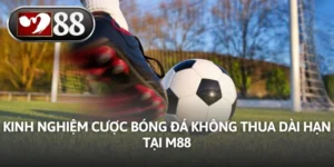 Kinh Nghiệm Cược Bóng Đá Không Thua Dài Hạn - Tại M88