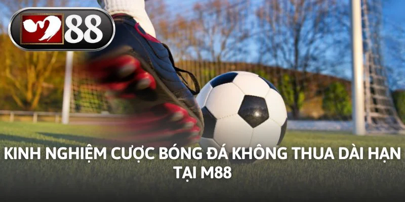 Kinh Nghiệm Cược Bóng Đá Không Thua Dài Hạn - Tại M88