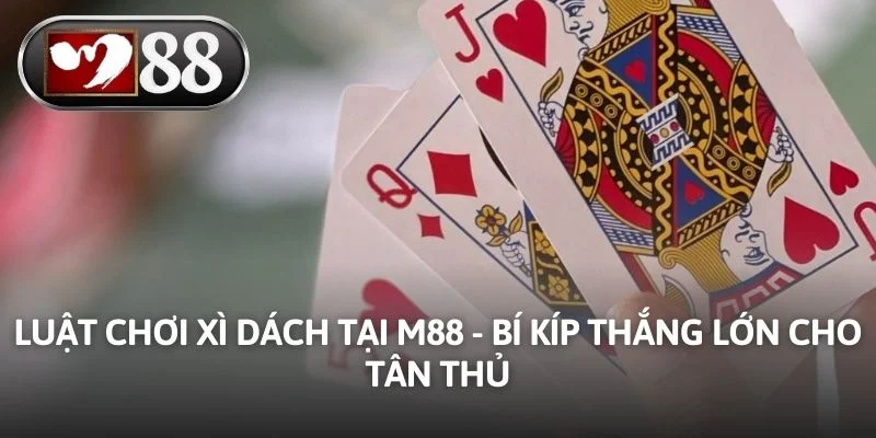 Luật Chơi Xì Dách Tại M88 - Bí Kíp Thắng Lớn Cho Tân Thủ